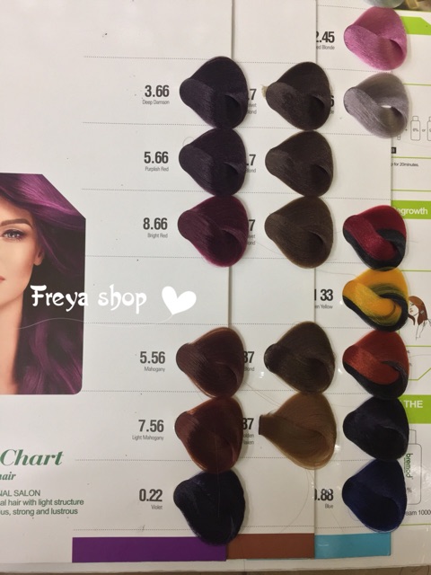 Bremod Hair Color With Oxidizing Part 2 Shopee Philippines