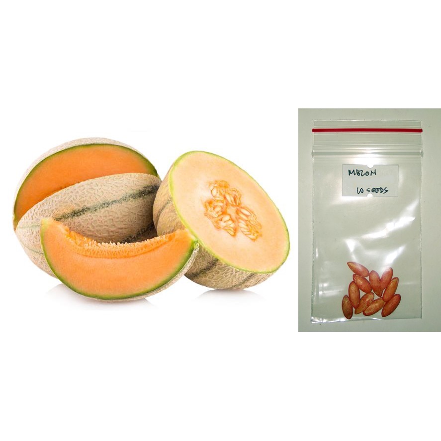Melon / Cantaloupe Fruit Seeds Shopee Philippines