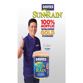 Davies 4 LITERS Sun and Rain Elastomeric Waterproofing Indoor/Outdoor Concrete/Masonry Paint（hot） #4
