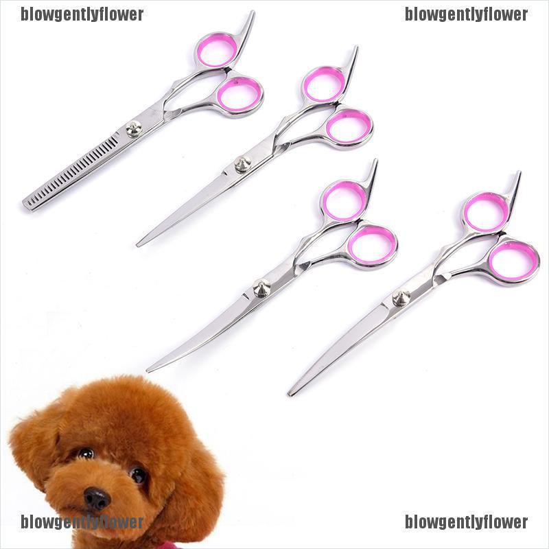 professional dog grooming scissor set