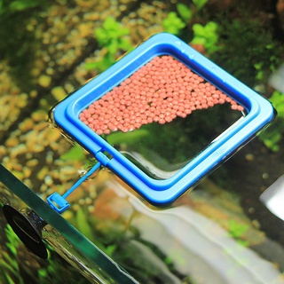 Aquarium Ring Feeder Fish Feeding Ring Square and Round With Suction Cup
