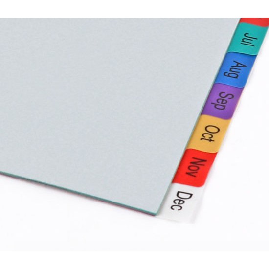 Plastic Jan-Dec Tab Binder Dividers 1 Set Pre-Printed Multicolor Tabs 12-Tab 