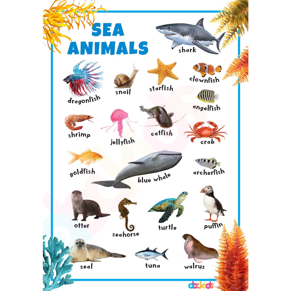 Animals Learning Materials and Educational Charts For Kids | Shopee  Philippines