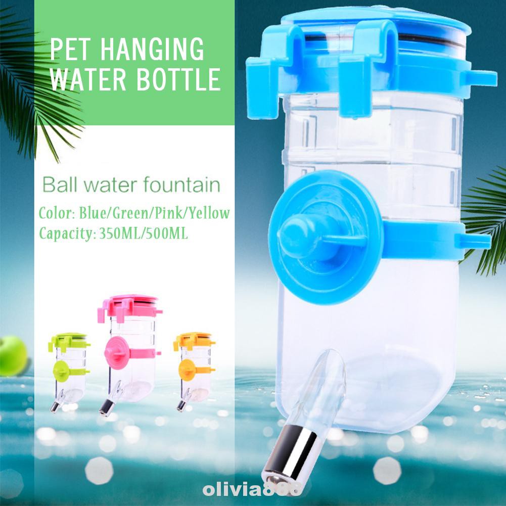 hamster water bottle pets at home