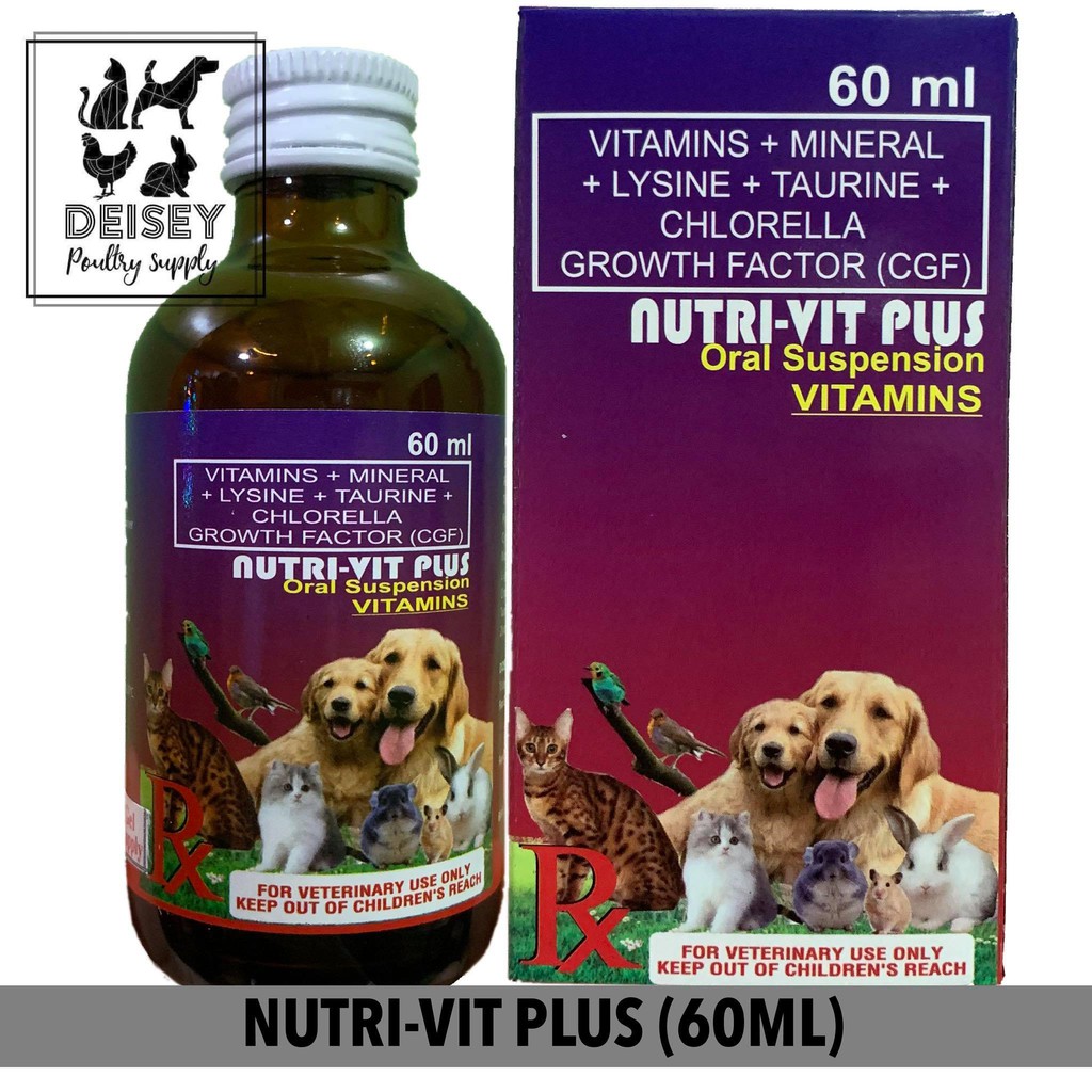 What Is Nutrivite For Pets? | Nutrivite Beverage Sdn Bhd Careers and ...