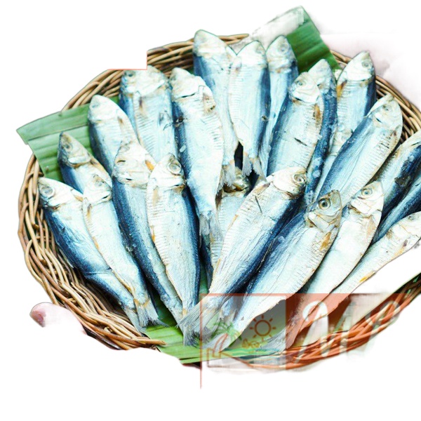 Salinas tuyo dry fish Fresh Dried bisugo from Palawan seafood fish dry