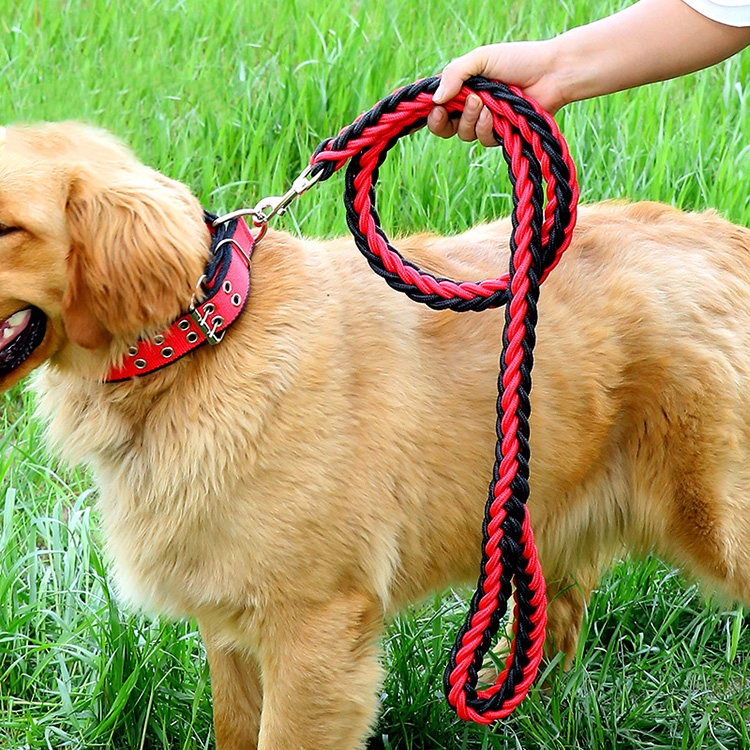 dog chain leash