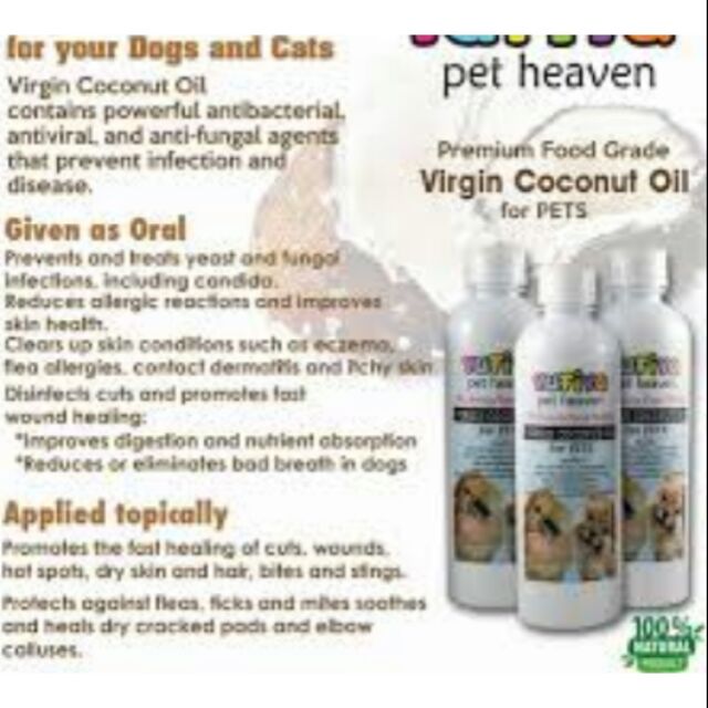 where can i buy coconut oil for dogs