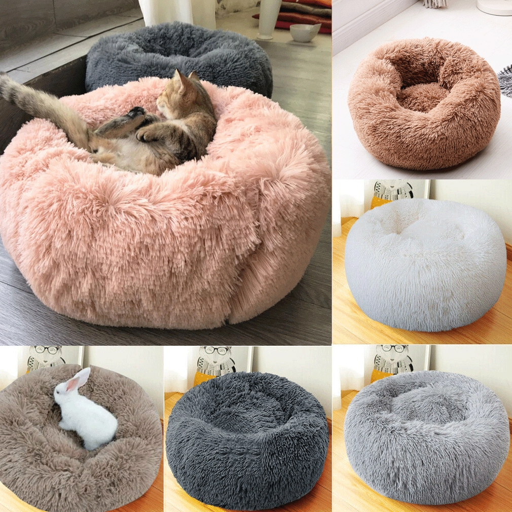 dog bean bag bed