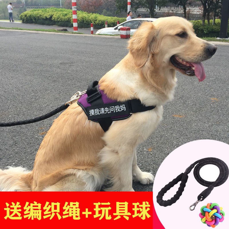 large breed dog leash