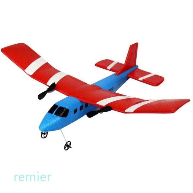 fly bear rc plane