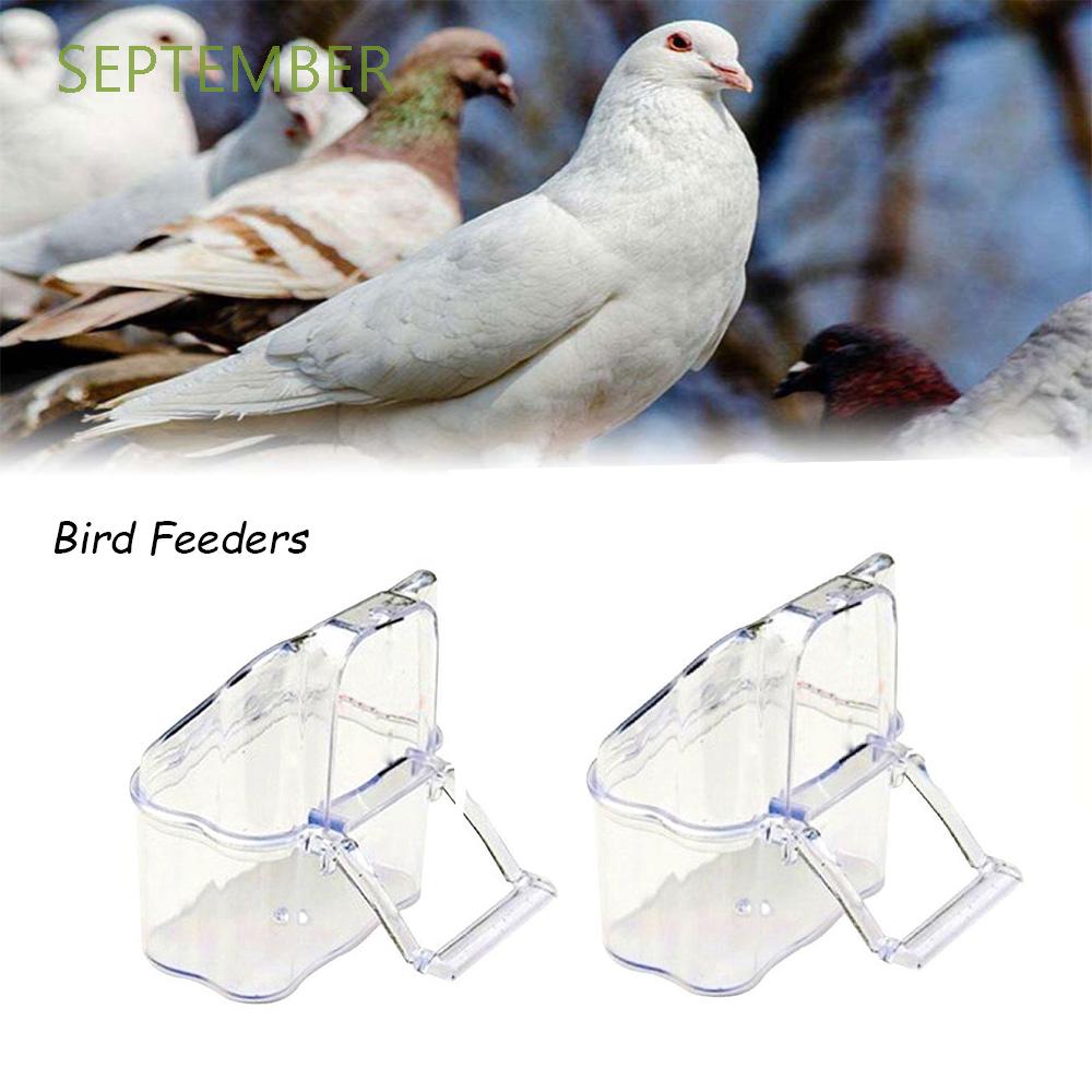 canary bird supplies