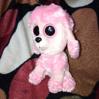 beanie boo princess poodle