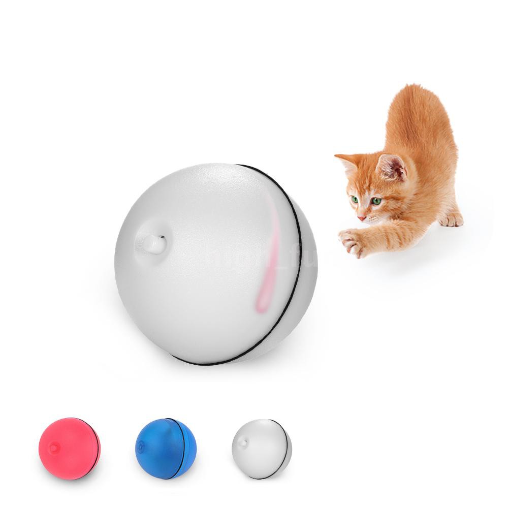motion ball cat toy