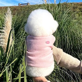 Autumn Winter New Style Soft Sweater Pet Clothes Teddy Bichon Poodle Maltese Schnauzer Small Dog Puppies Cat #4