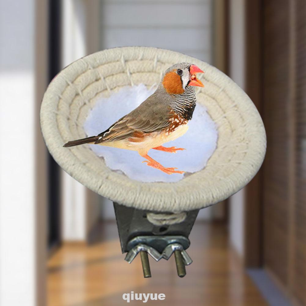 canary bird supplies