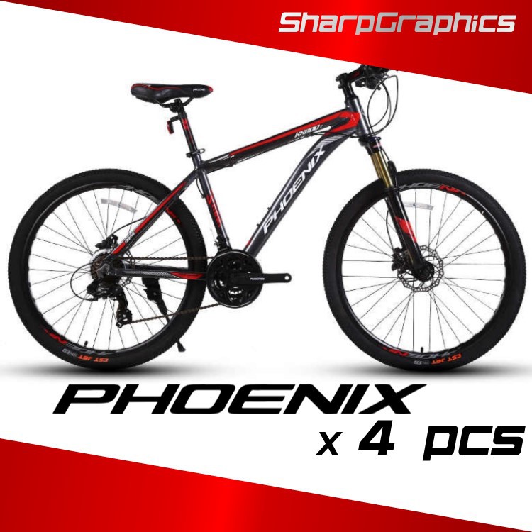 phoenix mountain bike