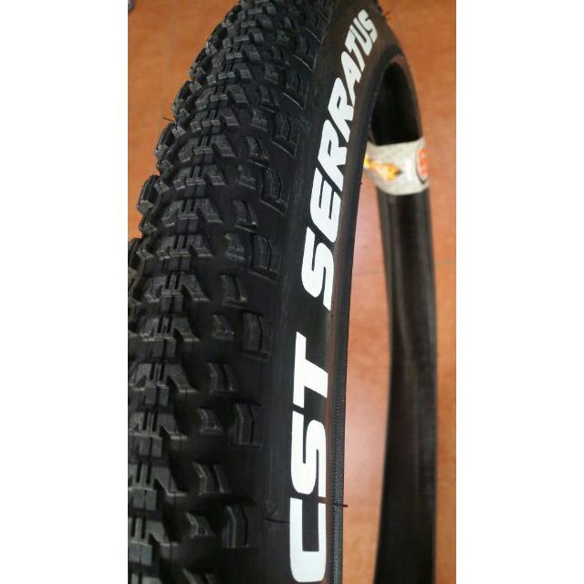 cst tires mtb