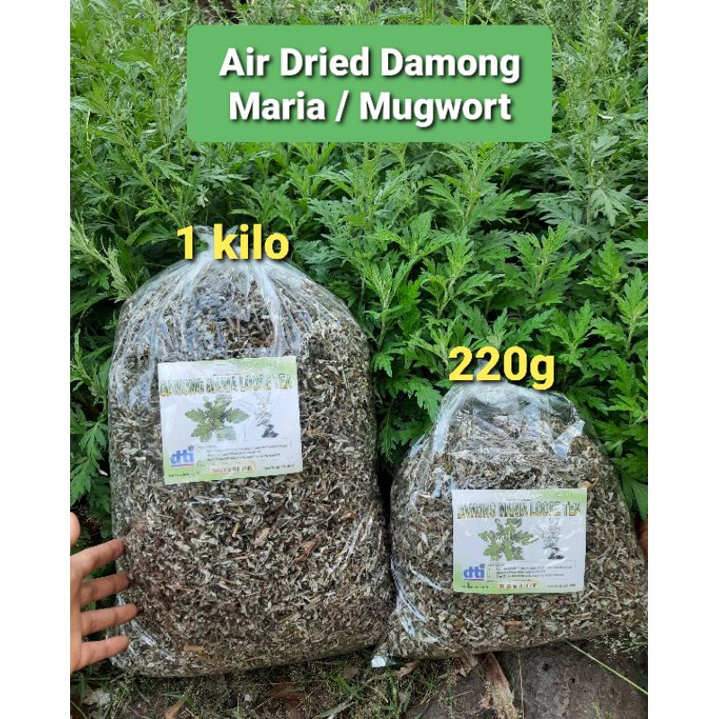 220g-air-dried-damong-maria-mugwort-hilbas-artemisia-tea-for-pcos-and