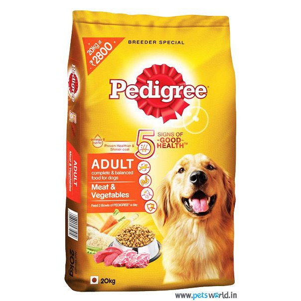 pedigree dog