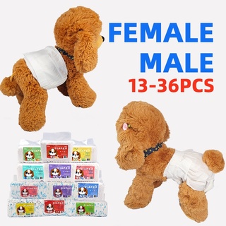 Korean Female Pet Dog Diaper 36’s XXS XS S M L XL Puppies&Cats Disposable Diapers Premium Value