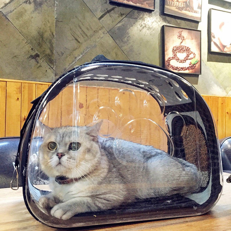 2 cat backpack