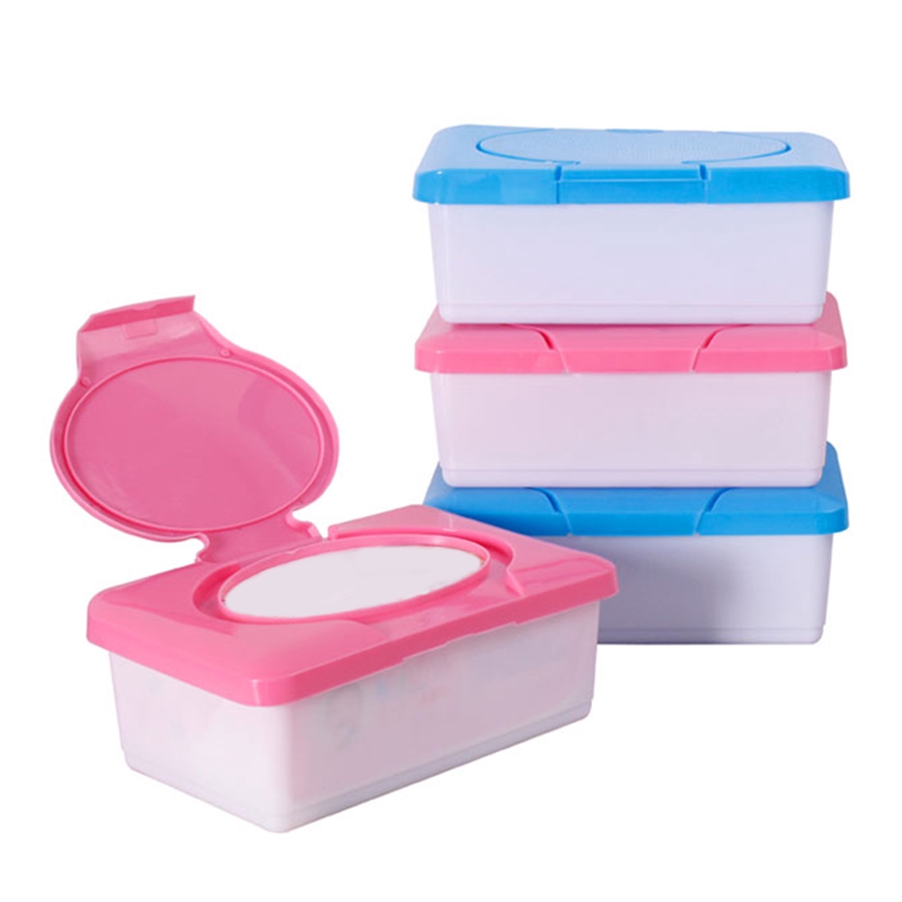 travel wipes case