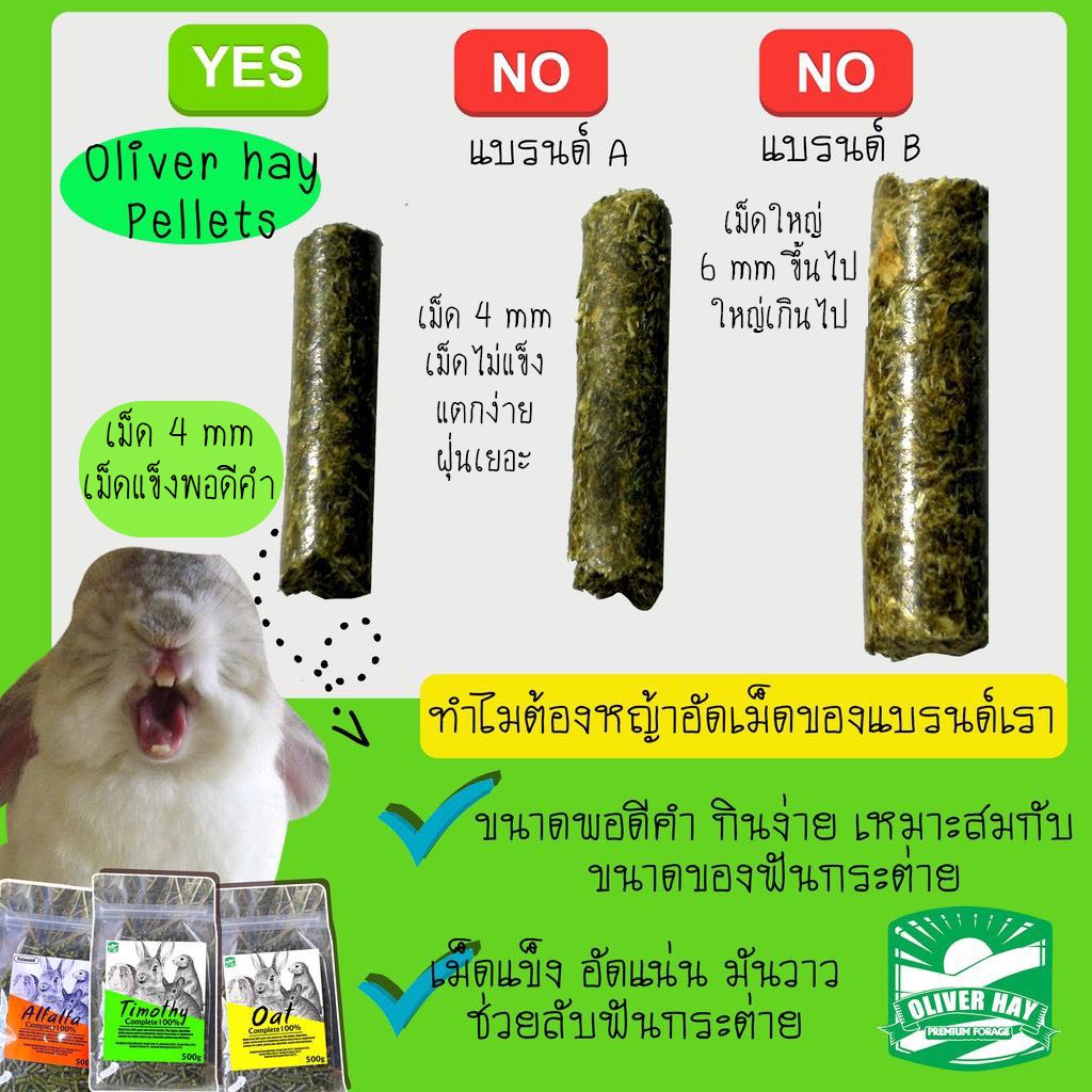 Timothy Grass Pellets Alfalfa 1 Rabbit Prairie Dog Gatsby Chinchilla 2 Kg. #8