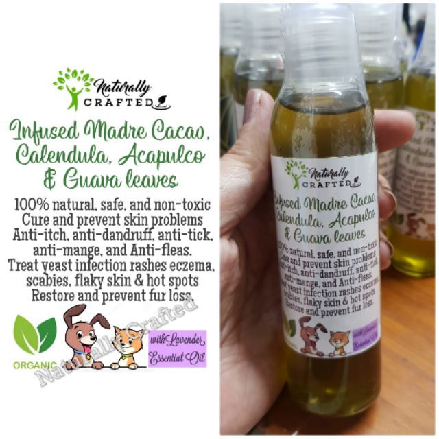 what essential oil is good for dog mange