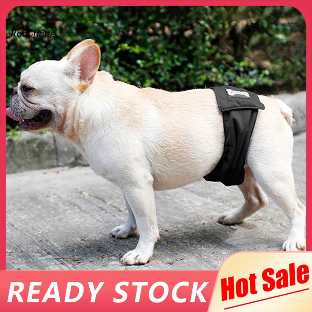 RC Breathable Dogs Underwear Male Dogs Sanitary Panties Mild to Skin