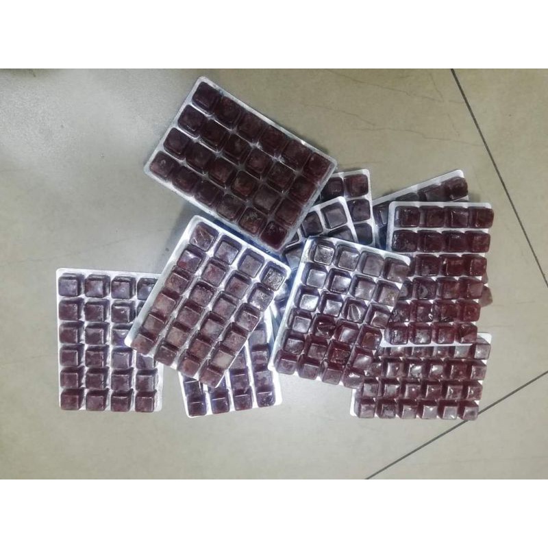 blood worms for fish #1