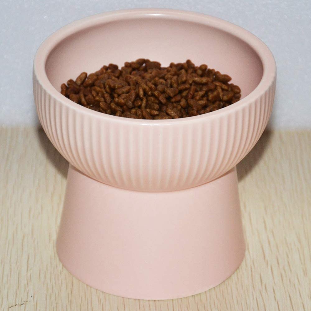elevated cat bowl