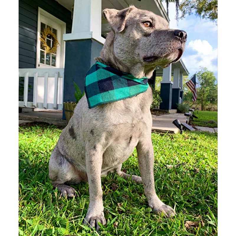 Dog Bandanas Large Pet Scarf Pet Bandana For Dog Cotton Plaid WashableBow #4