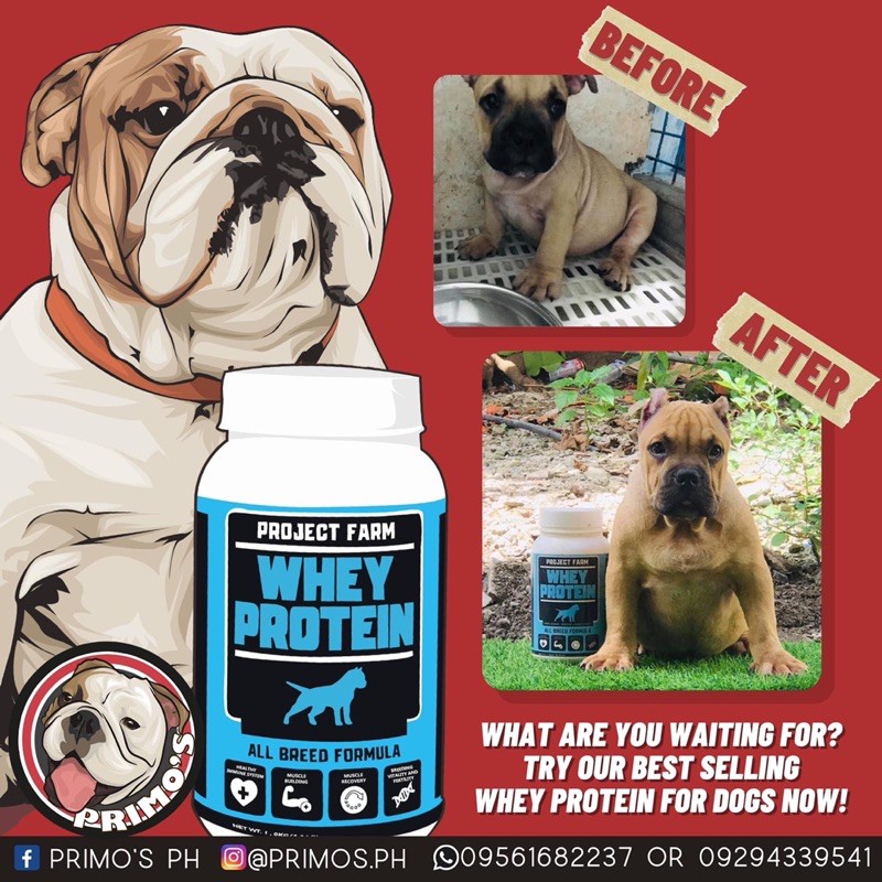 can you give your dog whey protein