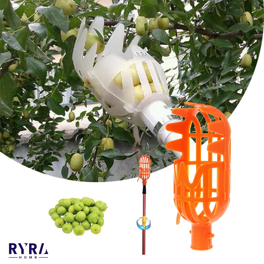 Garden Basket Fruit Picker Head Plastic Berry Collecting Harvester ...