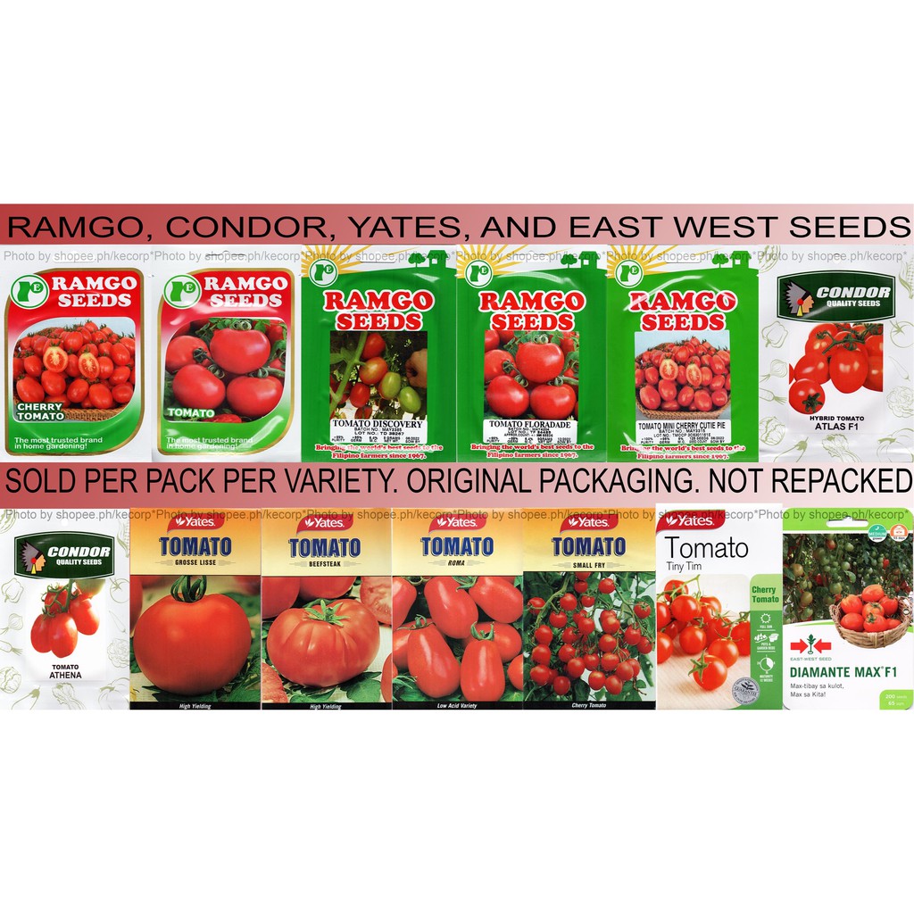 Ramgo Condor Yates East West Tomato Seeds Sold per Pack per Variety