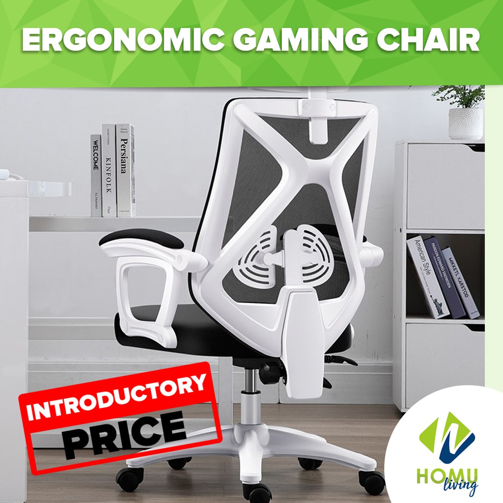Homu Ethan Ergonomic Office Gaming Chair Fully Adjustable Reclining