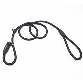 2021 Hot Item High Quality Round Nylon Rope Slip Dog Walking and Training Leash for Dogs and Cats #5