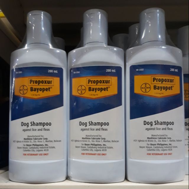 can dogs use lice shampoo