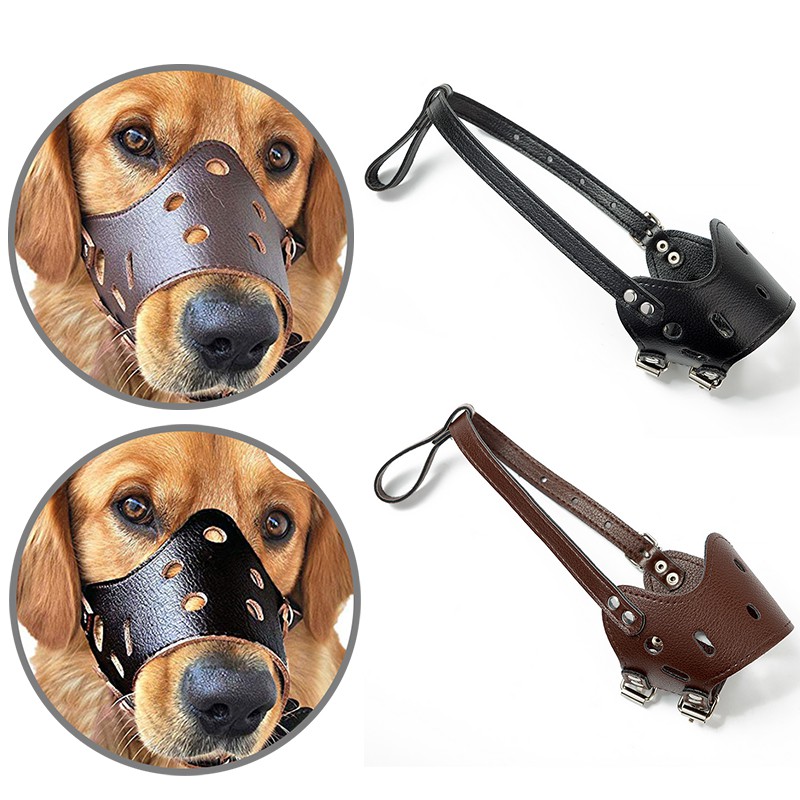 Can A Dog Still Eat And Drink With A Muzzle On