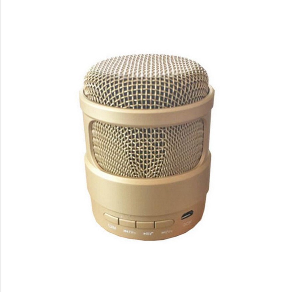 outdoor portable speaker with microphone