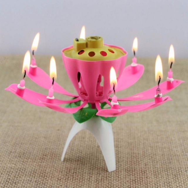 Musical flower Candle(non rotating) Shopee Philippines