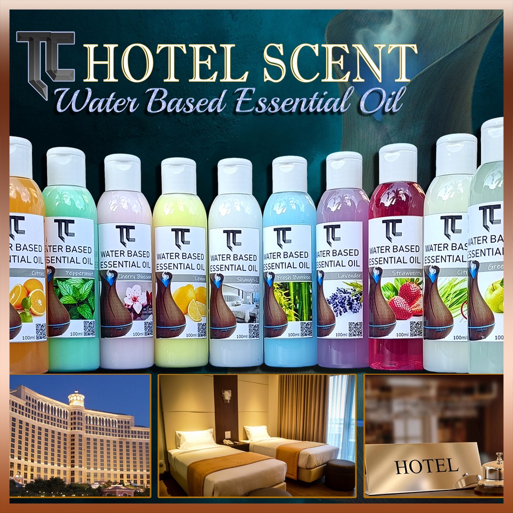 Water Based Essential Oil Hotel Scent Air Freshener Humidifier