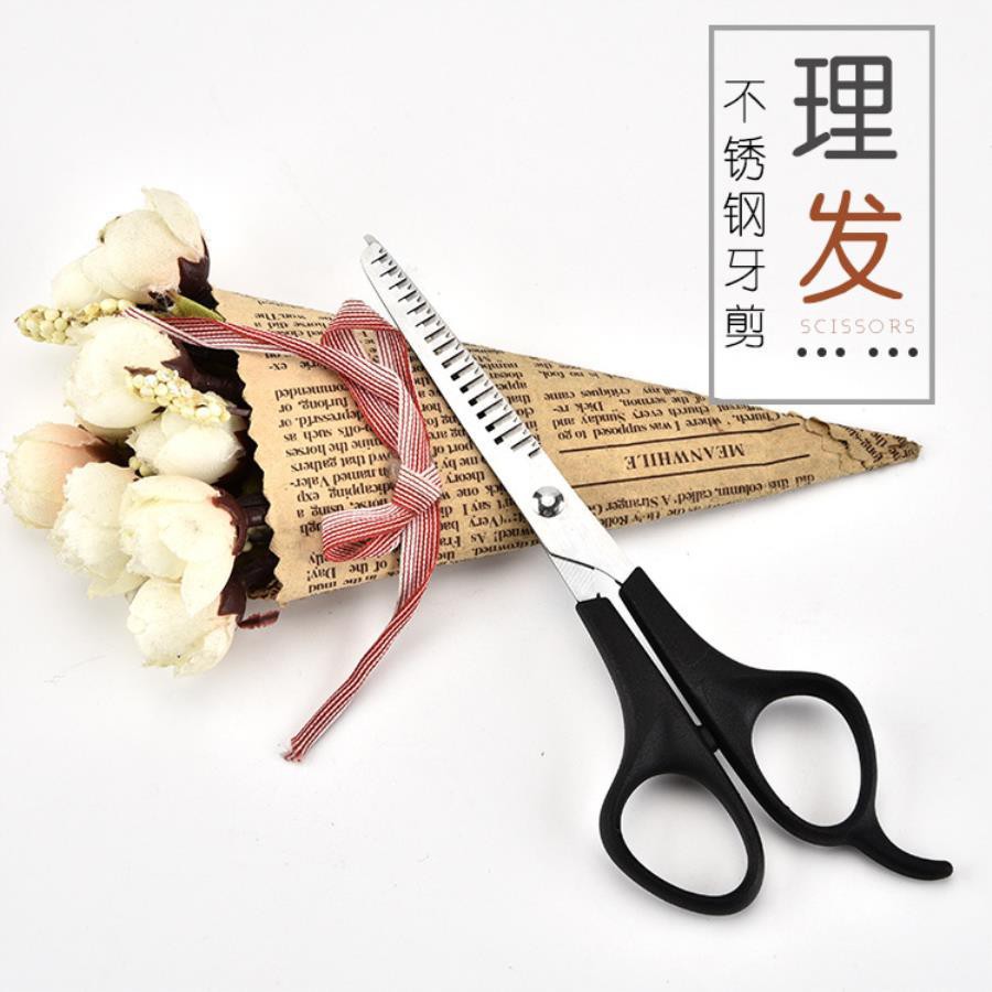 best professional salon scissors