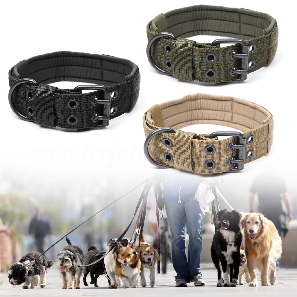 military dog collars and leashes