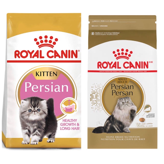 royal canin persian kitten dry food