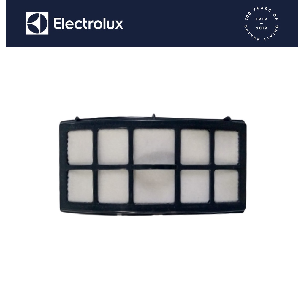 Electrolux Air Exhaust Filter & Frame for Z931 4055616660 Shopee