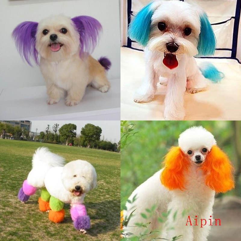 dog hair dye