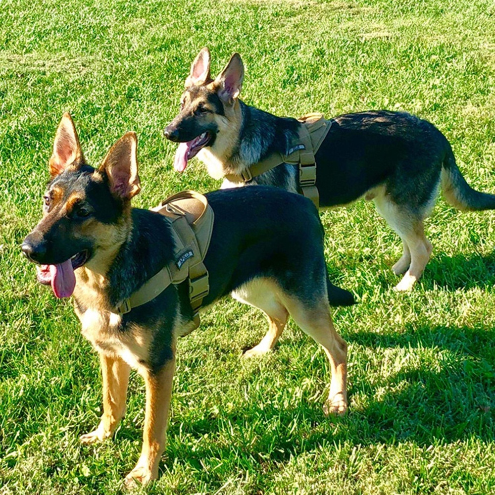 Tactical Dog Harness Chest Dog Vest German Shepherd Pet Nylon Adjustable Training for Medium Large Dogs