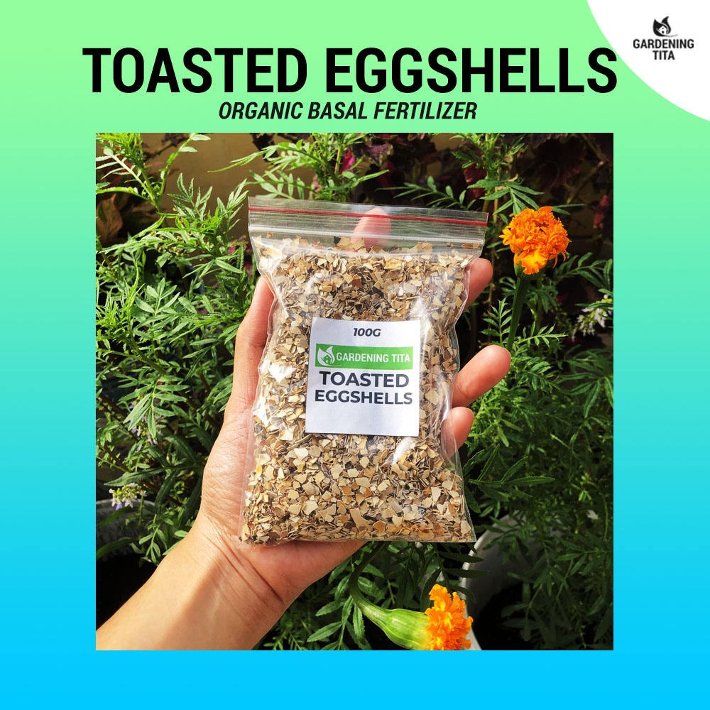 (100g) Toasted Eggshells - For gardening / agricultural use